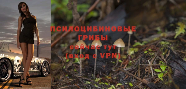 меф Елабуга