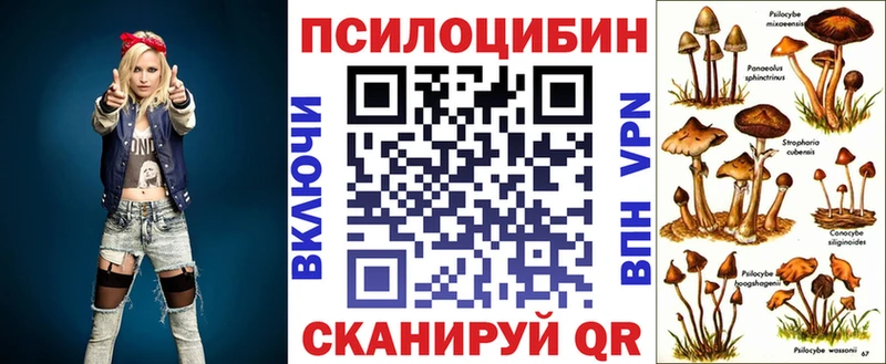 Купить  Лысково  Псилоцибиновые грибы GOLDEN TEACHER 